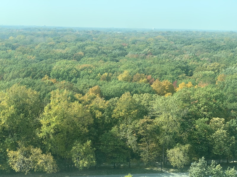 roommates in Skokie Private Room in 2Bed.2Bath - cirtru.com