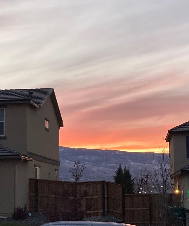 roommates in Reno Entire Place 1Bed.1Bath - cirtru.com