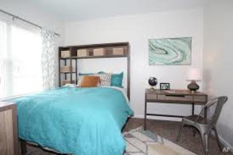looking for a room mate