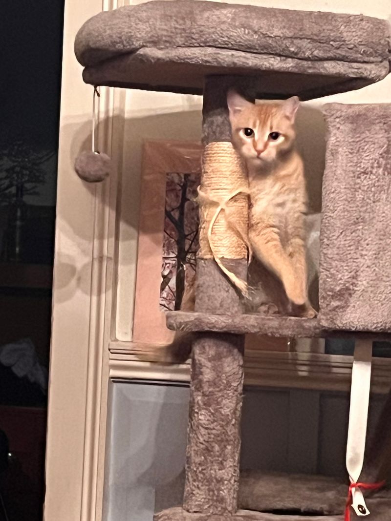 roommates in Putnam Shared Room in 1Bed.1Bath - cirtru.com