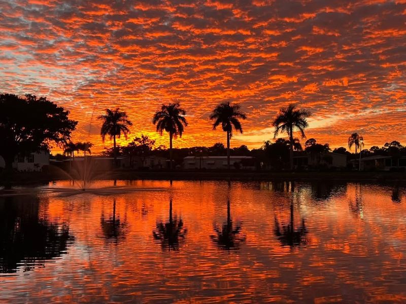 roommates in Fort Myers Entire Place 2Bed.2Bath - cirtru.com