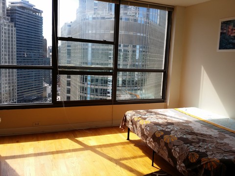roommates in Chicago Furnished Livingroom downtow Female - cirtru.com