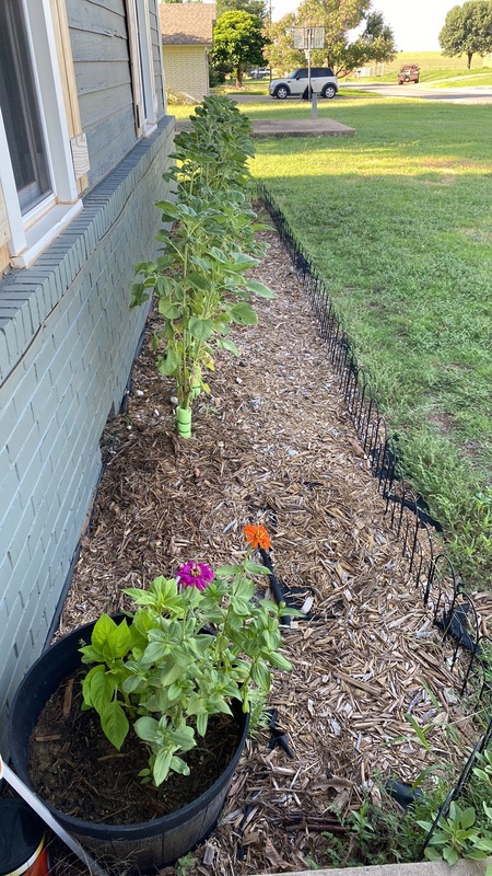 roommates in Erick Private Room in 1Bed.1Bath - cirtru.com