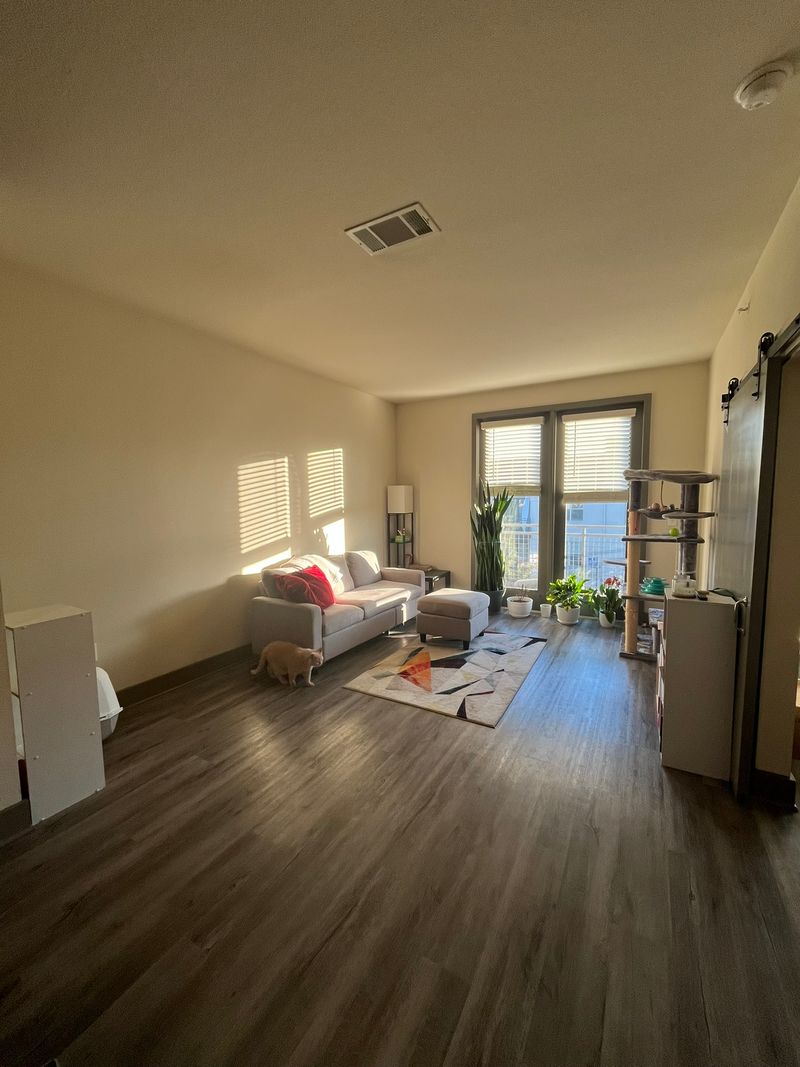 roommates in Austin Entire Place 1Bed.1Bath - cirtru.com