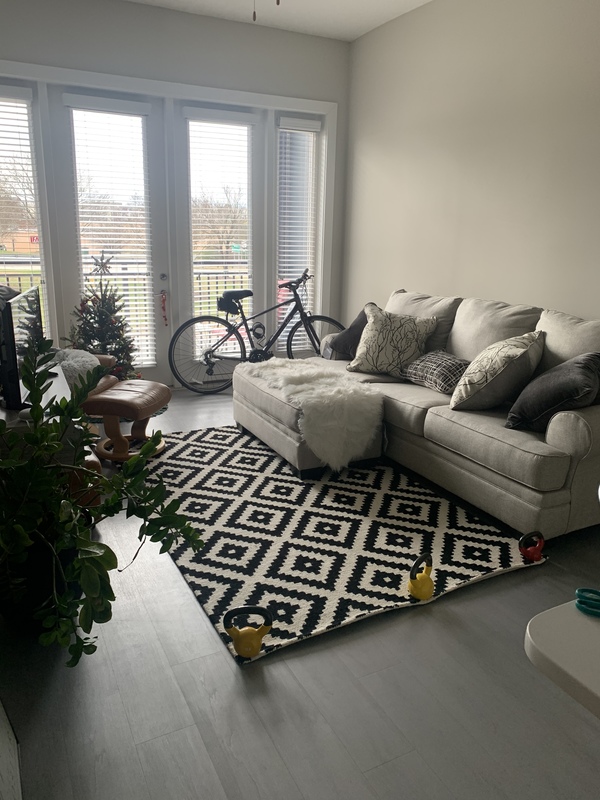 1 Bdrm Apartment Downtown Durham