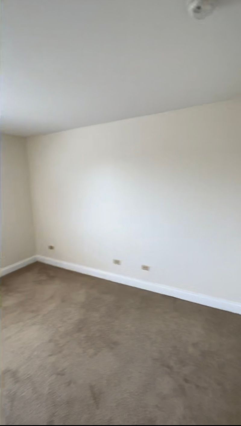 roommates in Chicago Entire Place 1Bed.1Bath - cirtru.com