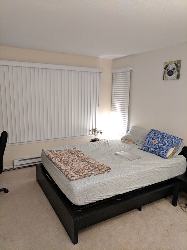 1 BR+1 bath Available In SF