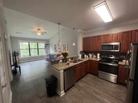 roommates in Atlanta Entire Place 1Bed.1Bath - cirtru.com