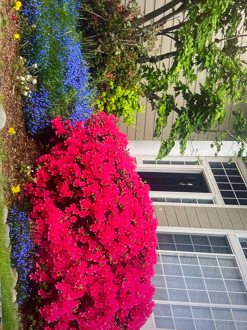 roommates in Auburn Private Room in 4Bed.2.5Bath - cirtru.com