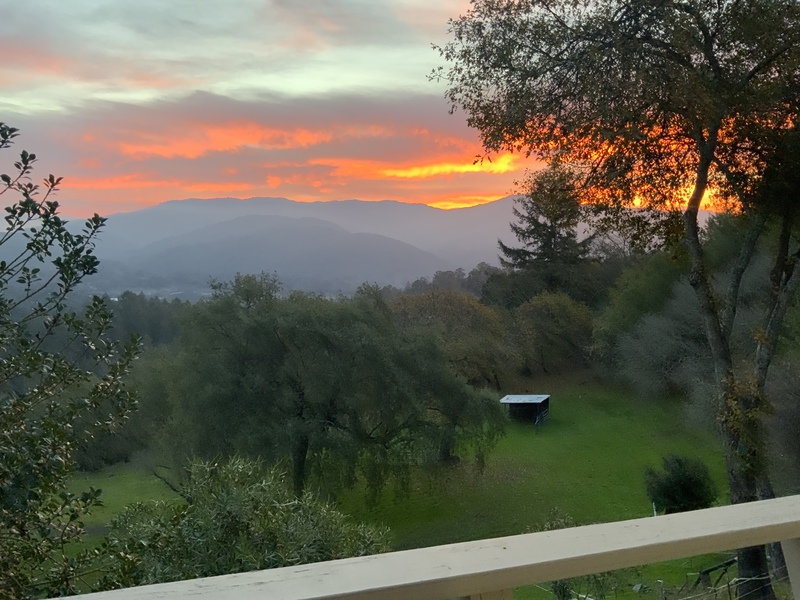 roommates in Los Gatos Entire Place 2Bed.1Bath - cirtru.com