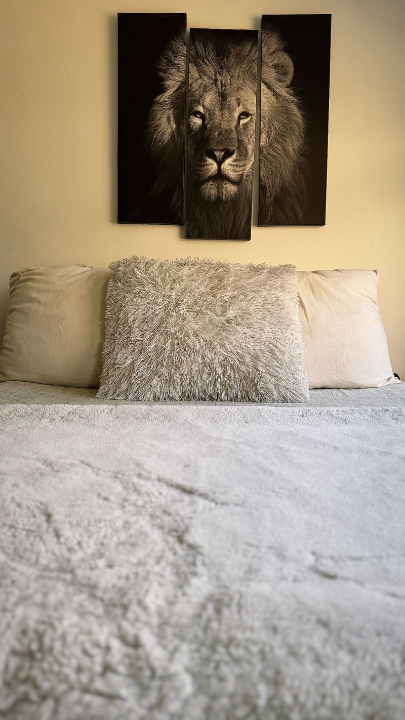 roommates in Los Angeles Private Room in 3Bed.2Bath - cirtru.com