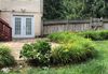 Entire Place 1Bed.1Bath