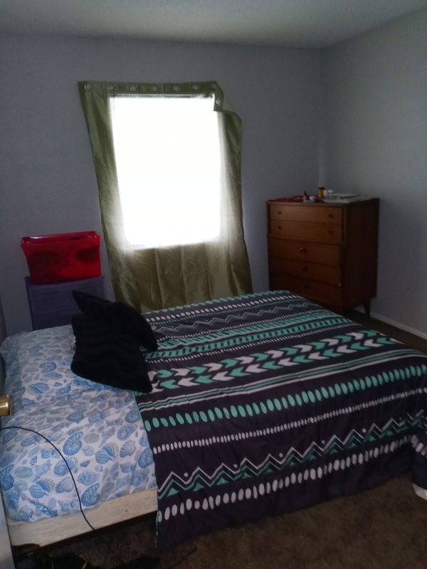 roommates in Tampa Private Room in 1Bed.1Bath - cirtru.com