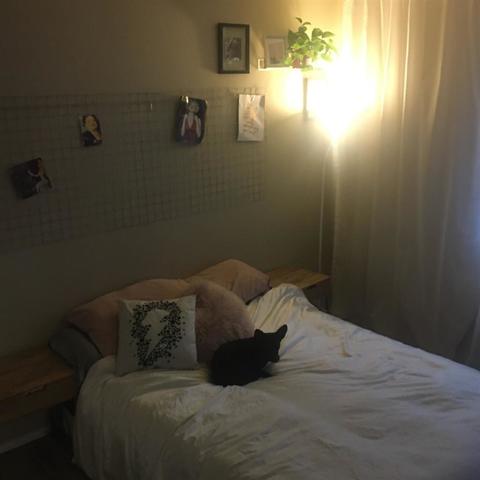 roommates in Los Angeles Private Room in 2Bed.2Bath - cirtru.com