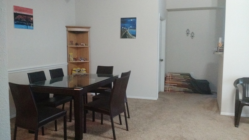 Looking for a female roommate