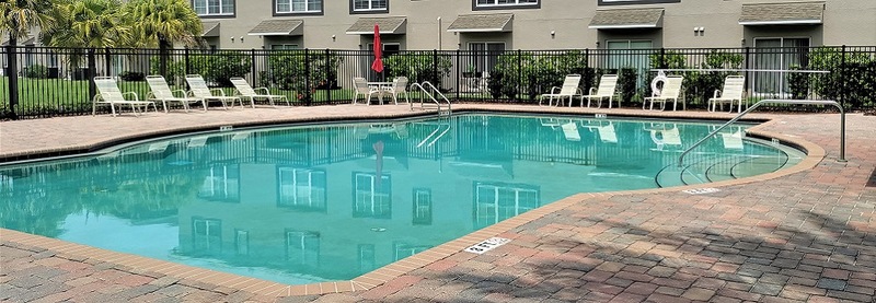 roommates in Brandon Private Room in 1Bed.1Bath - cirtru.com