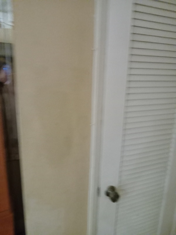 roommates in Fort Lauderdale Private Room in 2Bed.2Bath - cirtru.com