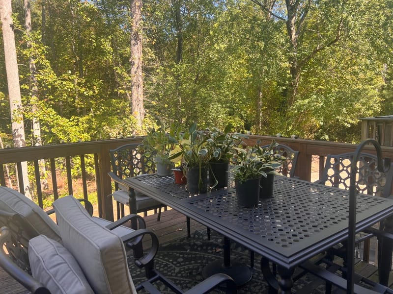 roommates in Blackwood Private Room in 3Bed.2.5Bath - cirtru.com