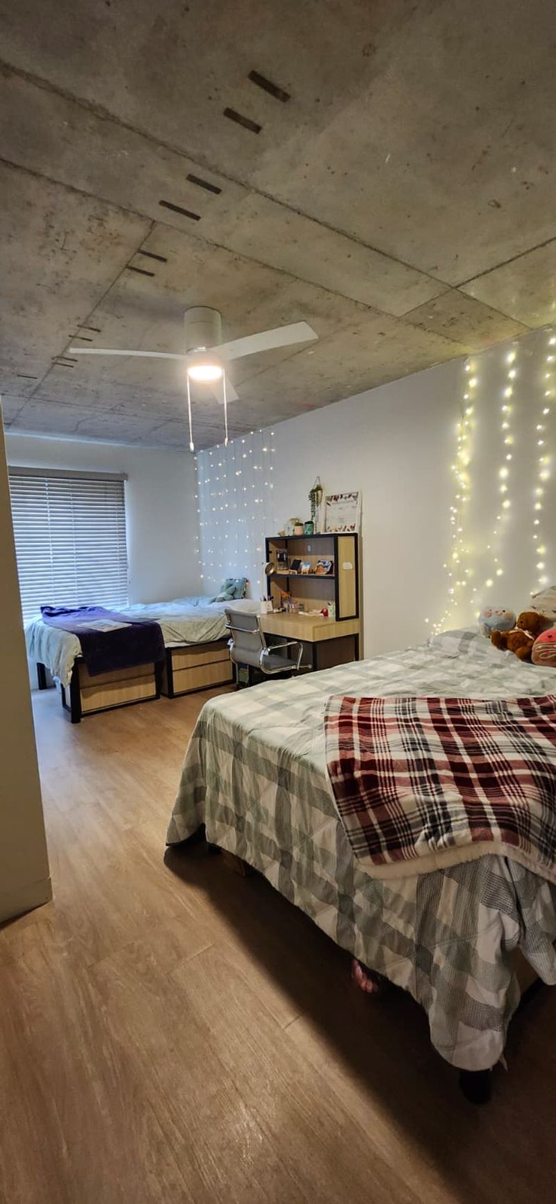 roommates in Seattle Shared Room in 2Bed.2Bath - cirtru.com