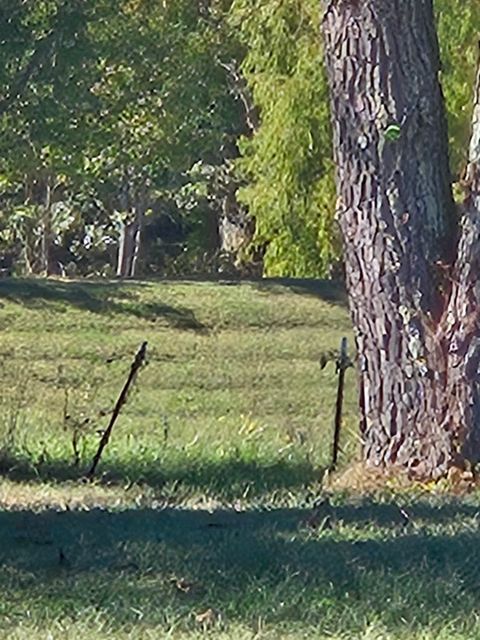 Shared Room in 3Bed.2Bath