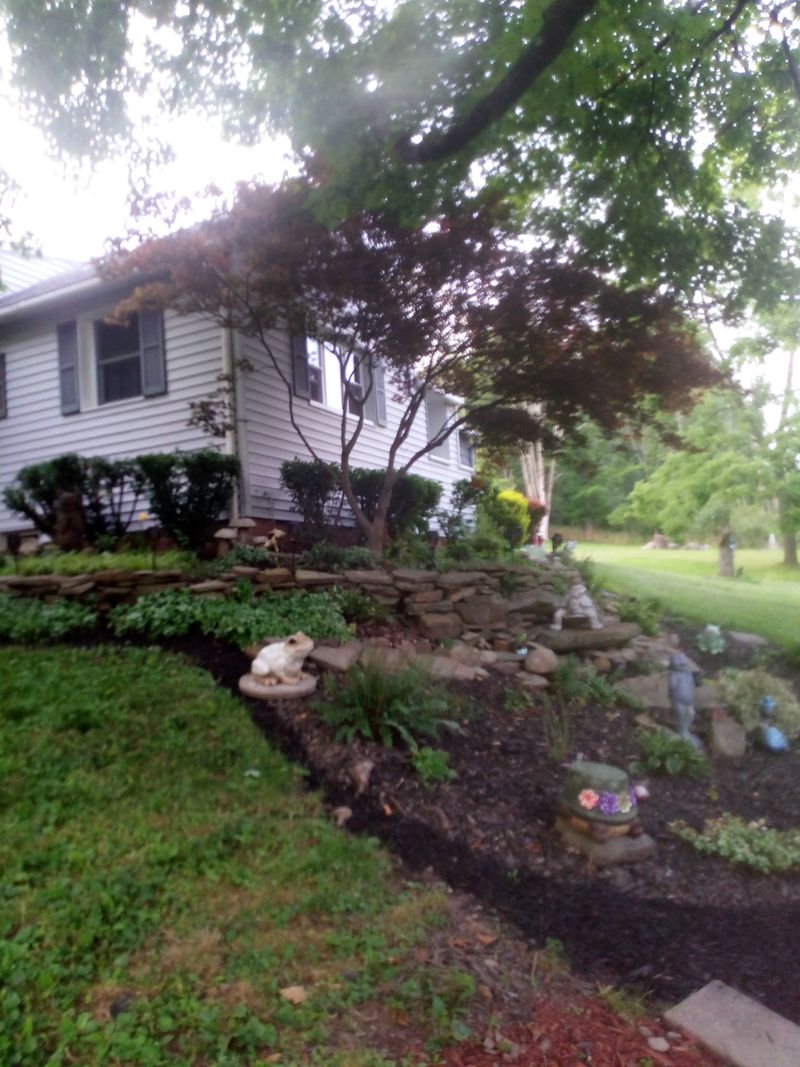 roommates in Vestal Entire Place 2Bed.1Bath - cirtru.com
