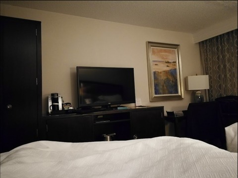 roommates in Seattle Entire Place 1Bed.1Bath - cirtru.com