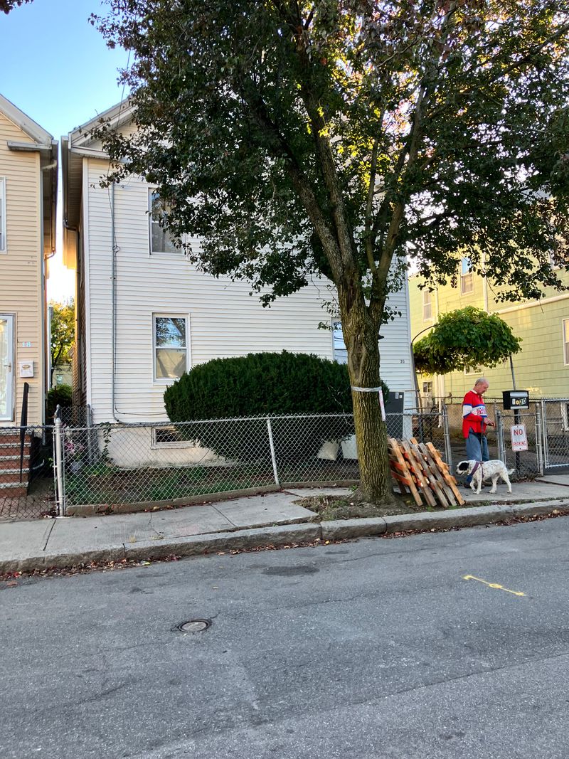 roommates in Somerville Room4Bed.1Bath - cirtru.com