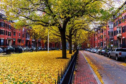 roommates in Boston Private Room in 2Bed.1Bath - cirtru.com