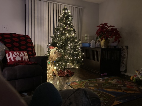 roommates in Dallas Private Room in 3Bed.3Bath - cirtru.com