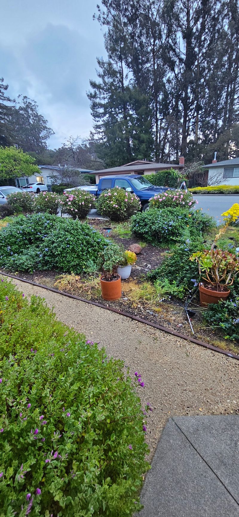 roommates in Soquel Private Room in 3Bed.2Bath - cirtru.com
