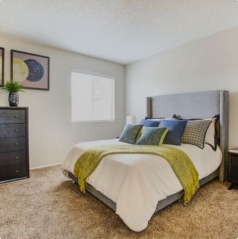 roommates in McKinney Room1Bed.1Bath - cirtru.com