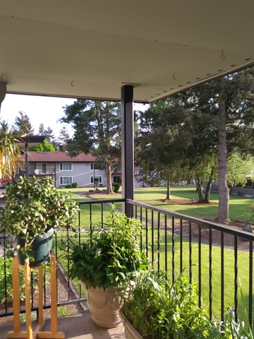 roommates in Tacoma Private Rm in 2Bed 2Bath Tacoma WA - cirtru.com