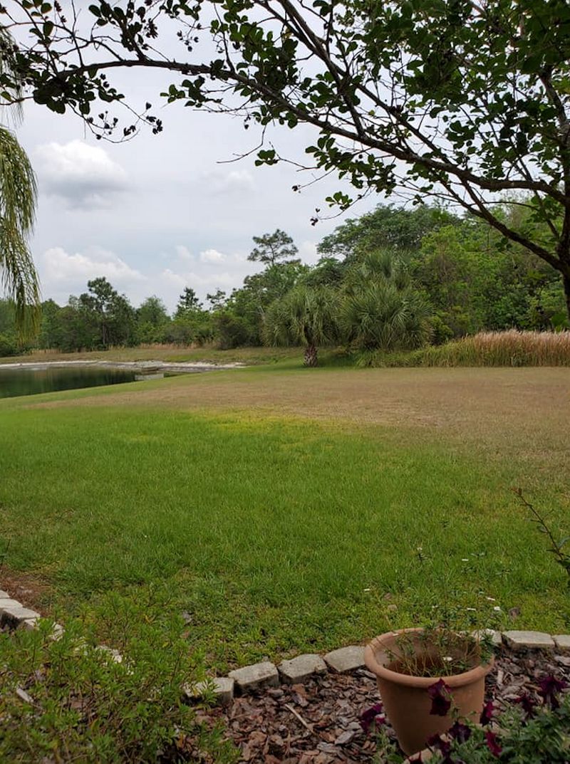 roommates in Orlando Room3Bed.2Bath - cirtru.com