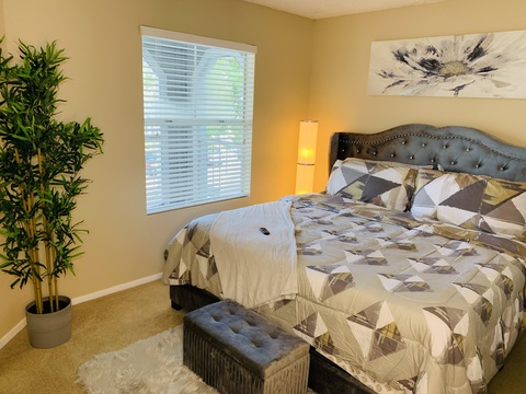 roommates in Orlando Entire Place 1Bed.1Bath - cirtru.com
