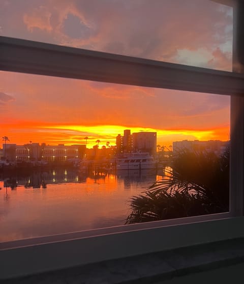 roommates in South Pasadena Entire Place 1Bed.1Bath - cirtru.com