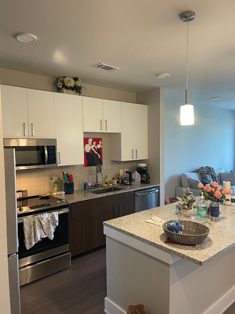 roommates in Atlanta Entire Place 1Bed.1Bath - cirtru.com