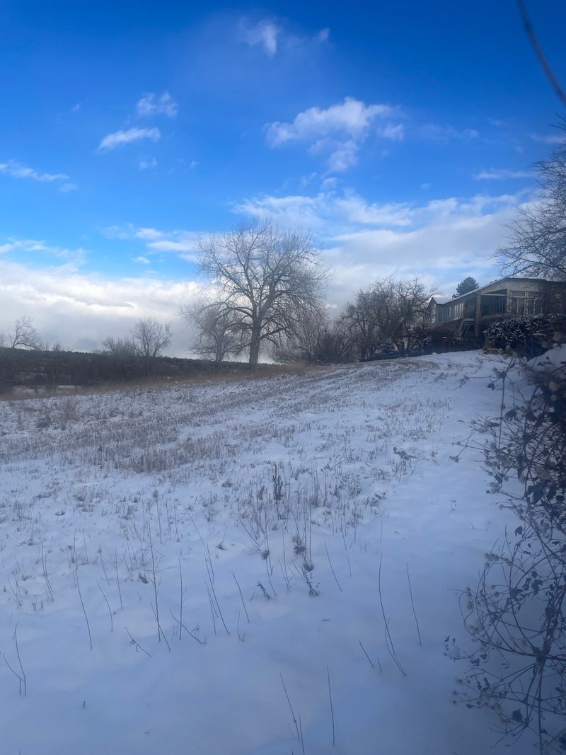 roommates in Arvada Entire Place 2Bed.1Bath - cirtru.com