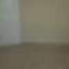 Basement for Rent -