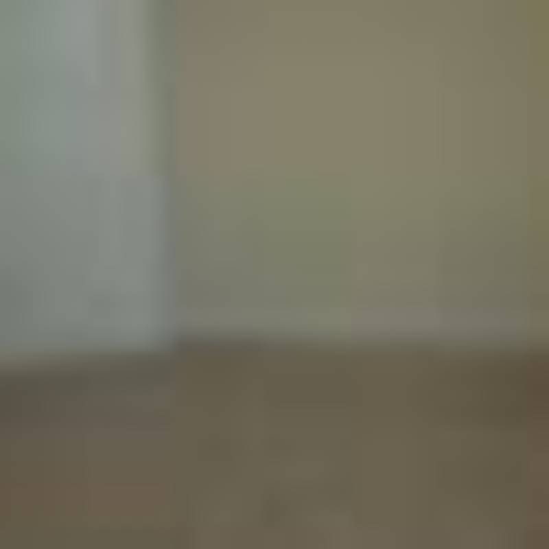 Basement for Rent -