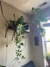 Entire Place 3Bed.1.5Bath