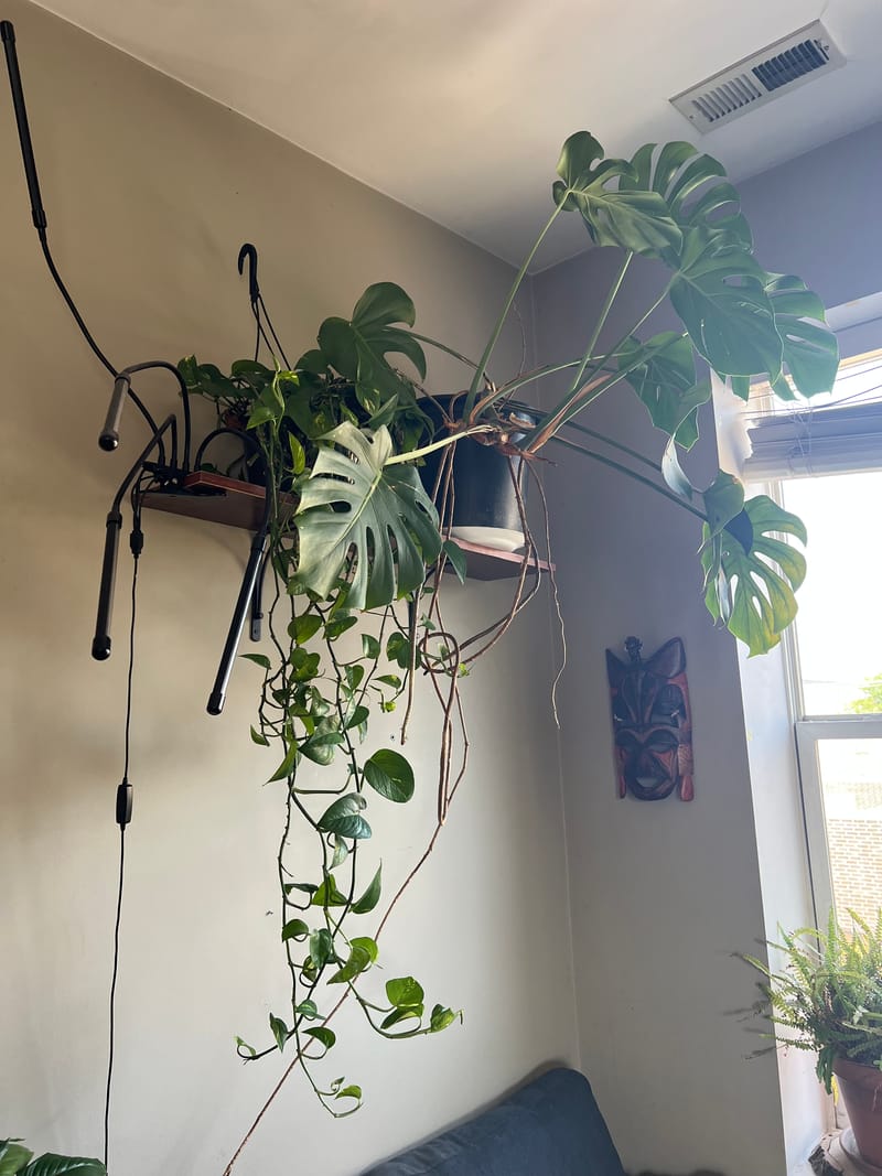 roommates in Chicago Entire Place 3Bed.1.5Bath - cirtru.com