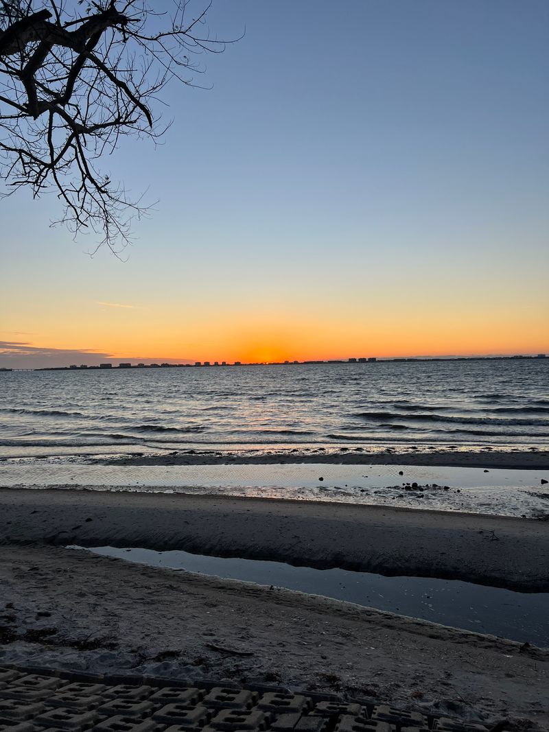 roommates in Sarasota Entire Place 1Bed.1Bath - cirtru.com