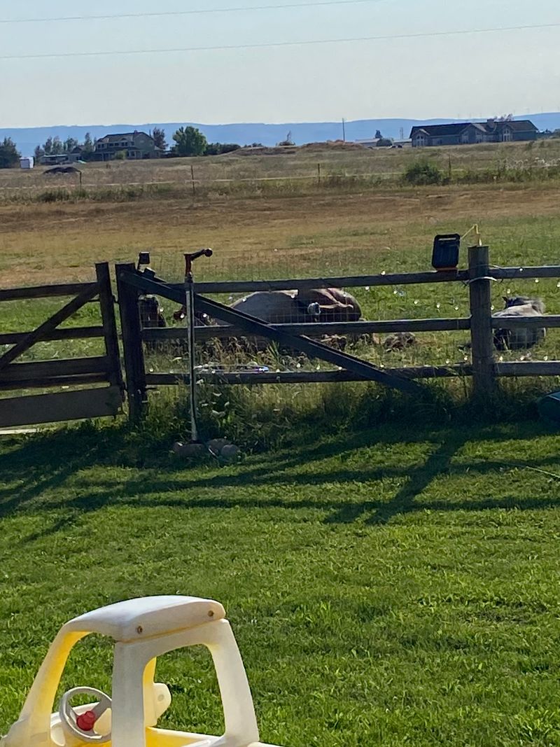 roommates in Ellensburg Private Room in 3Bed.2Bath - cirtru.com