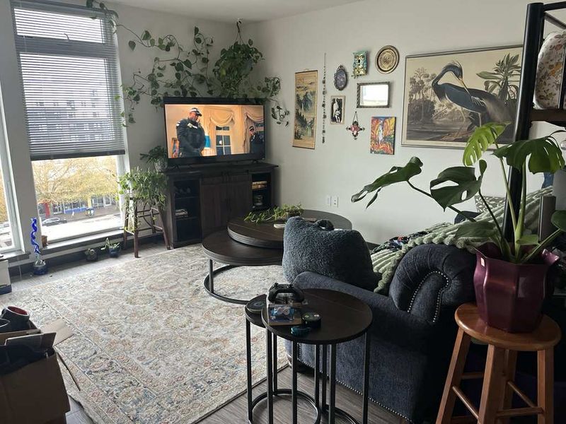 roommates in Seattle Entire Place 1Bed.1Bath - cirtru.com
