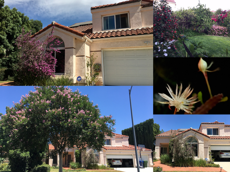 roommates in Los Angeles Private Room in 4Bed.3Bath - cirtru.com