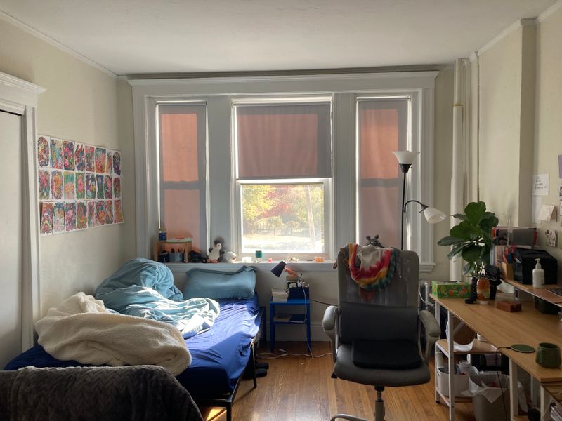 roommates in Boston Entire Place 1Bed.1Bath - cirtru.com