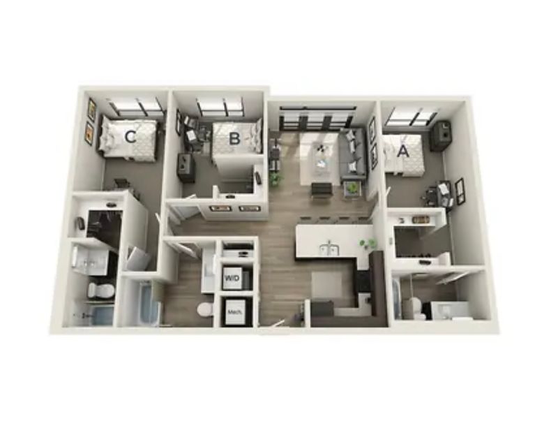 roommates in Raleigh Room3Bed.3Bath - cirtru.com