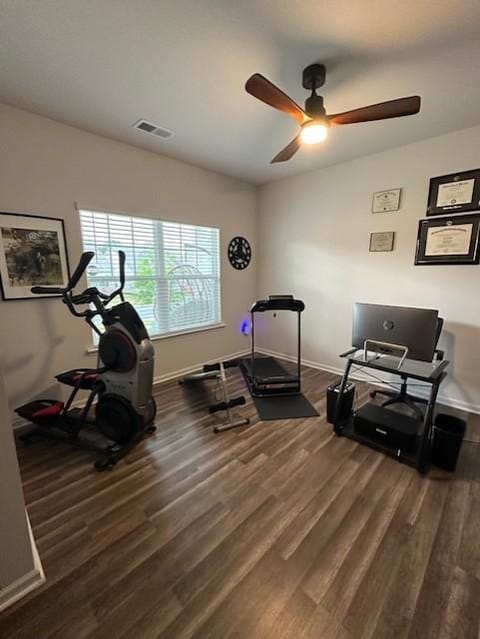 roommates in Undisclosed, Charlotte, NC 28215 Charlotte room for rent (id. 46440) - cirtru.com