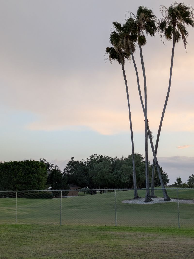 roommates in Fort Myers Private Room in 2Bed.2Bath - cirtru.com