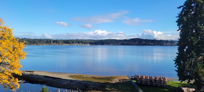 roommates in Silverdale Entire Place 1Bed.1Bath - cirtru.com